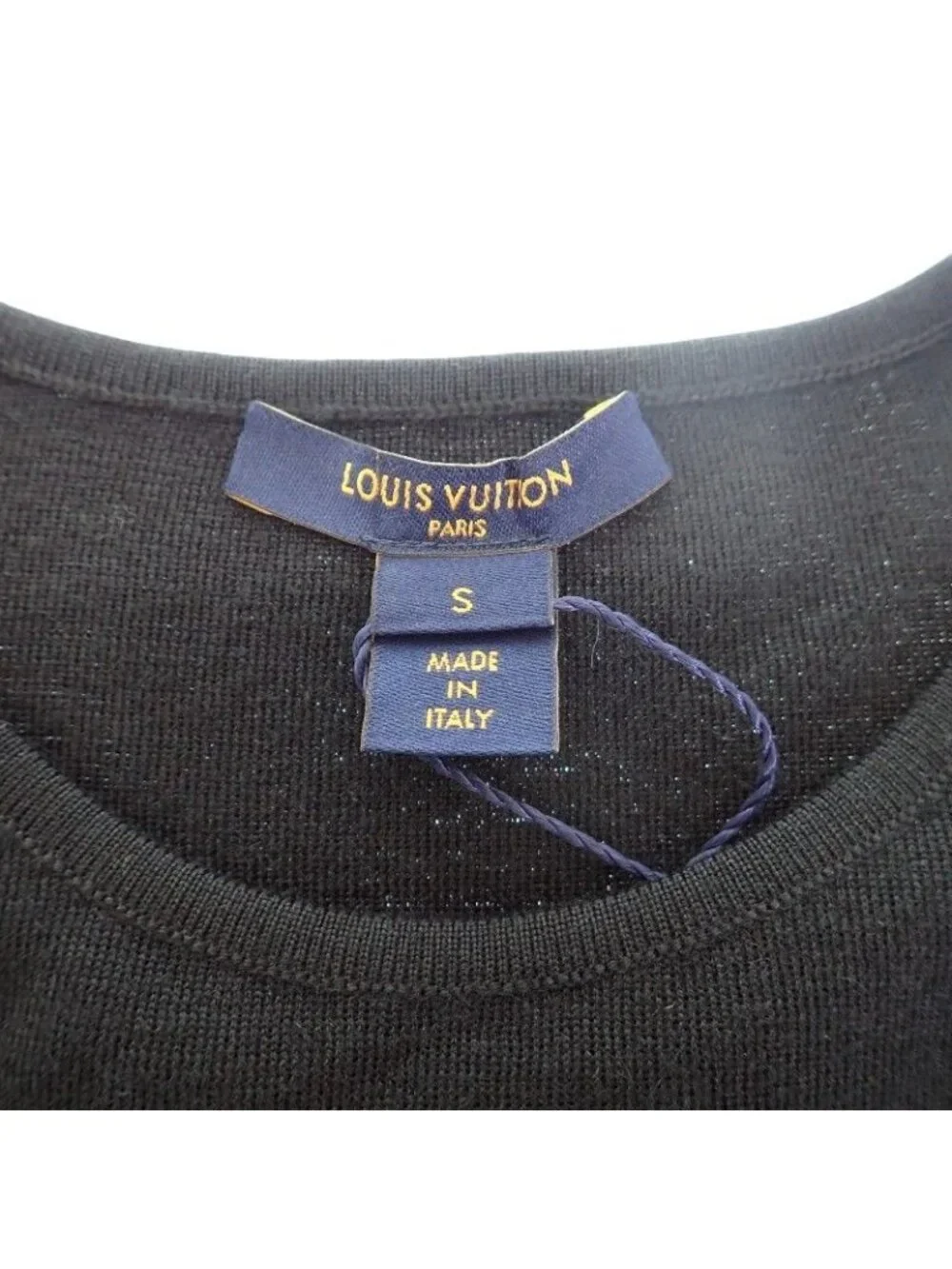 Louis Vuitton brand louis